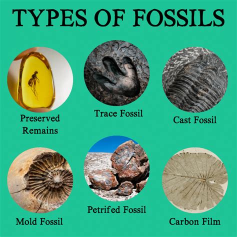 what are the different methods of dating fossils